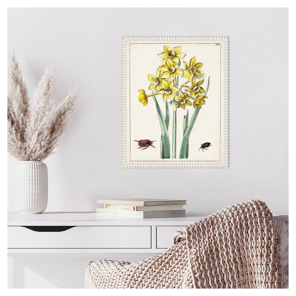 Dutch Florals III Yellow Daffodils Canvas Print with White Frame