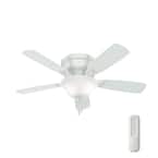 Hunter Low Profile 48 in. Indoor White Ceiling Fan with Light Kit-52062