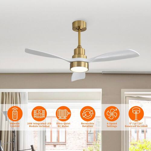 Auris 48 in. White Blades Indoor Gold Ceiling Fan with LED Light Quiet DC Motor Downrod Mount TaiMei Ceiling Fans With Lights