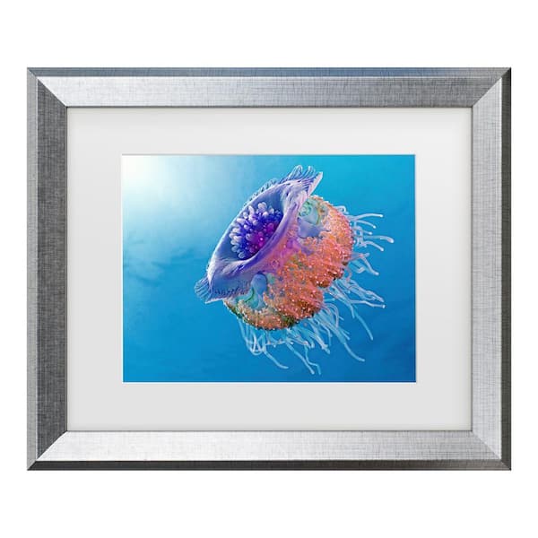 Trademark Fine Art Henry Jager Crown Jellyfish Matted Framed Photography Wall Art 14.5 in. x 17.5 in.
