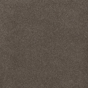 First Class II - Robin - Brown 50 oz. SD Polyester Texture Installed Carpet