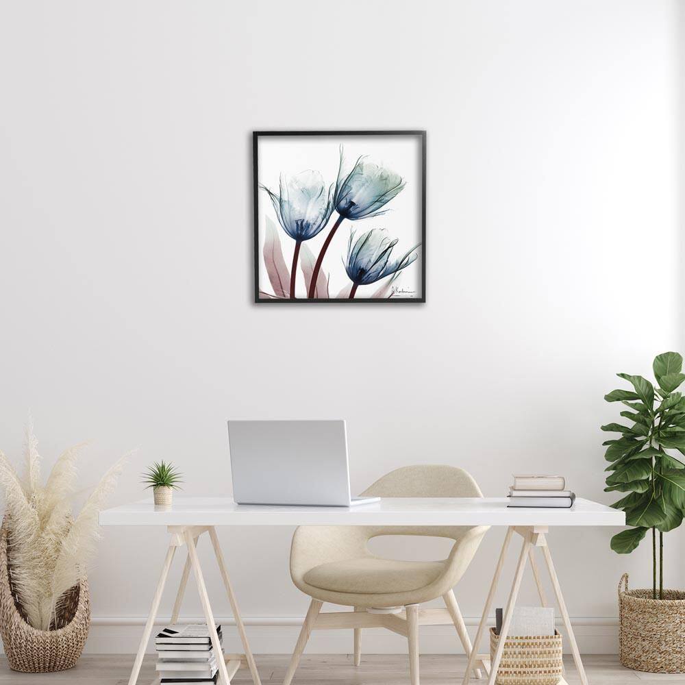 Translucent Tulip Bulbs by Albert Koetsier Black Framed Nature Giclee Art Print 24 in. x 24 in. price history on PriceWatchPro