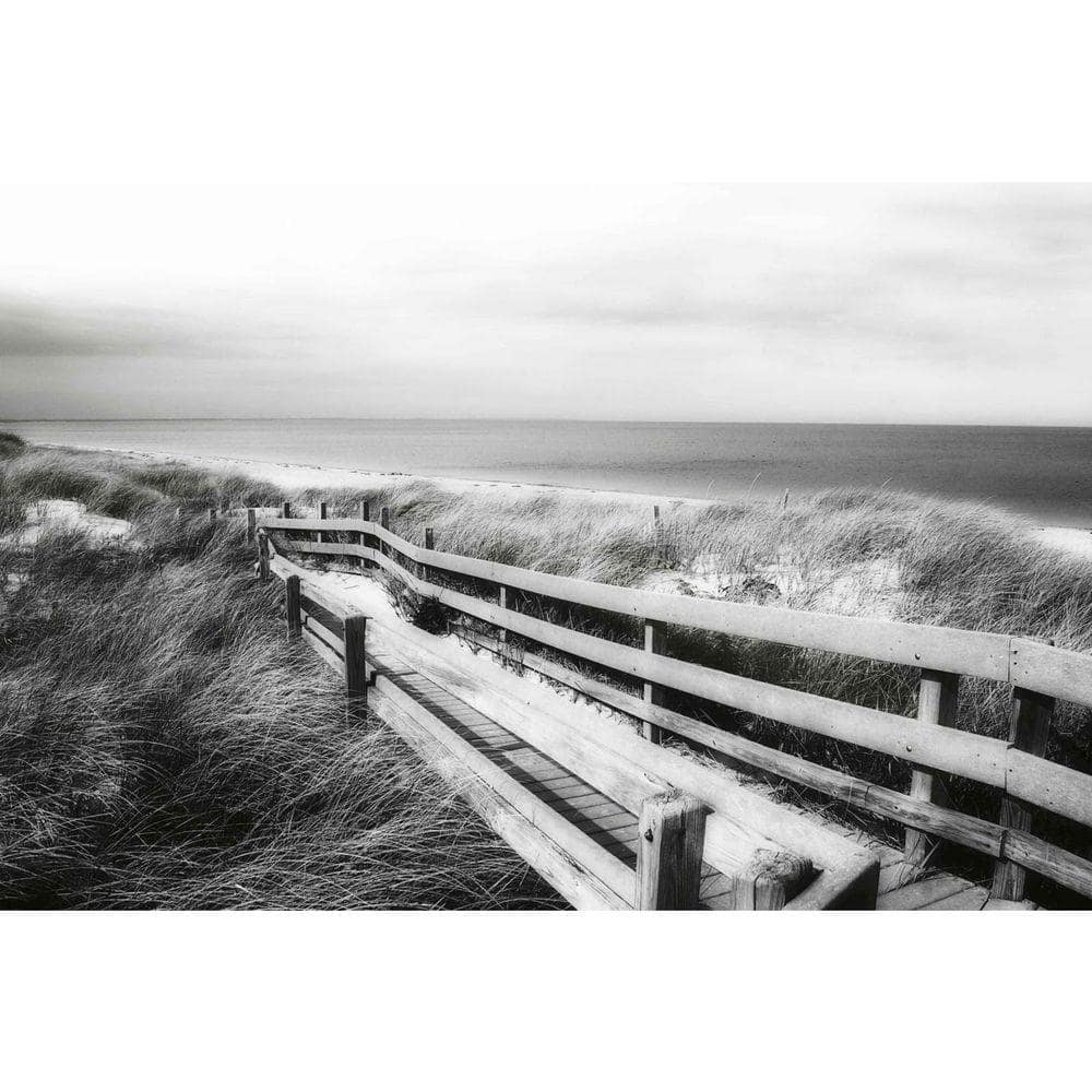 Shoreline Walking Trail by Grotto Studios Unframed Graphic Print Poster Art Print 36 in. x 24 in. price history on PriceWatchPro