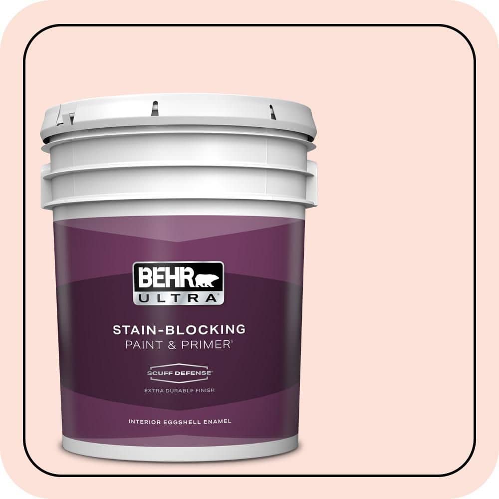 5 gal. #200A-1 Peach Cloud Extra Durable Eggshell Enamel Interior Paint & Primer price history on PriceWatchPro