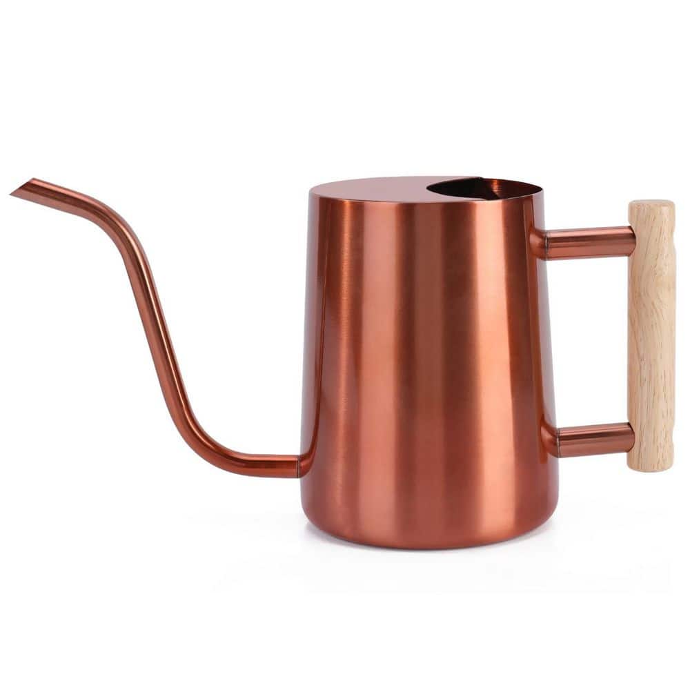 0.27 gal. Copper Stainless Steel Watering Can Indoor Decorative Long Spout Metal Watering Pot 1-Piece price history on PriceWatchPro