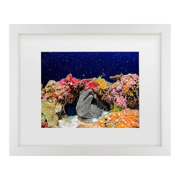 Trademark Fine Art Roberto Marchegiani Under The Star Matted Framed Photography Wall Art 18 in. x 22 in.
