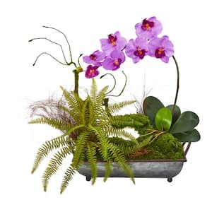 Phalaenopsis Orchid and Fern Artificial Arrangement in Metal Tray