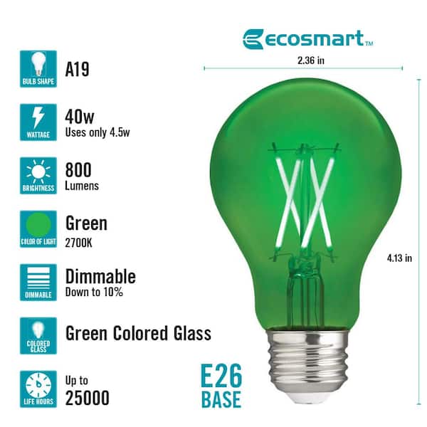 40-Watt Equivalent A19 Dimmable Filament Green Colored Glass LED Light Bulb (1-Pack)
