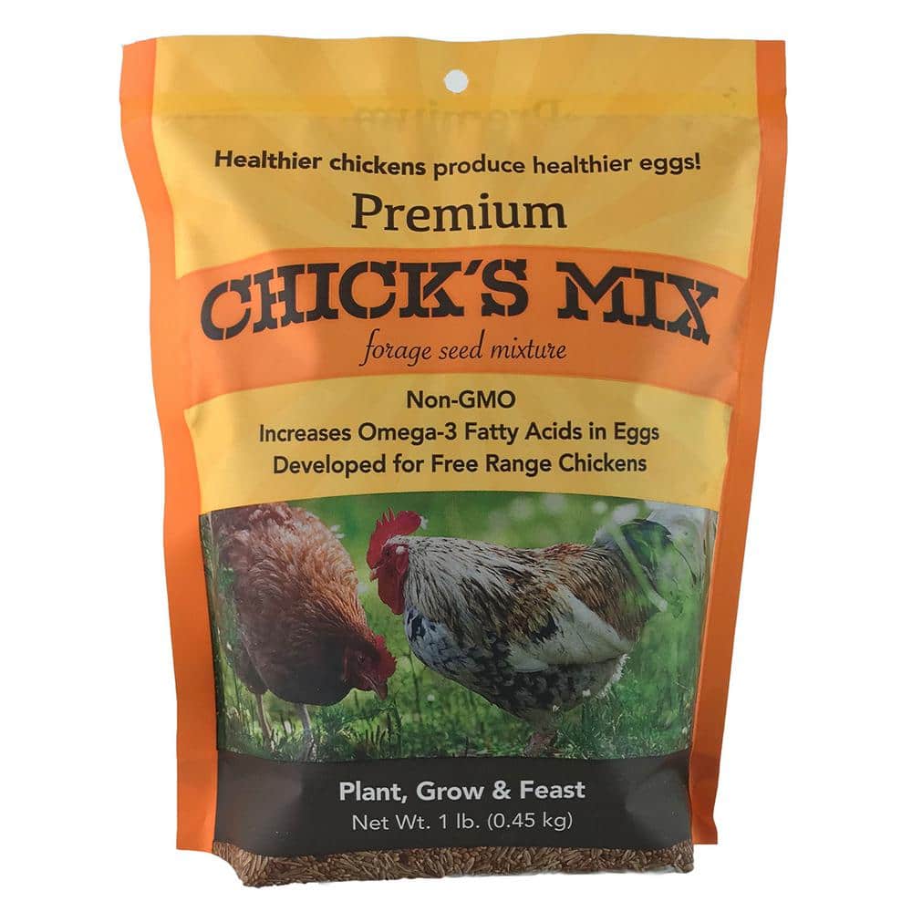  Barenbrug Premium Free Range Chicks Mix Forage Seed Mixture, 1  lb, One Pack : Patio, Lawn & Garden