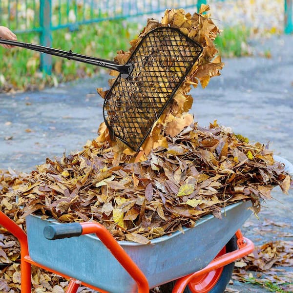 Dresden Large Leaf Trinket ドレスデン葉型器 (大） Leaf Collecting Tool Leaf Grabber Rake with Long Handle