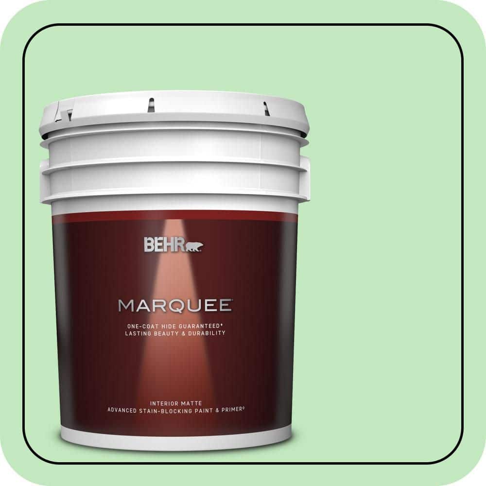 5 gal. #450A-3 Mountain Mint Matte Interior Paint & Primer price history on PriceWatchPro