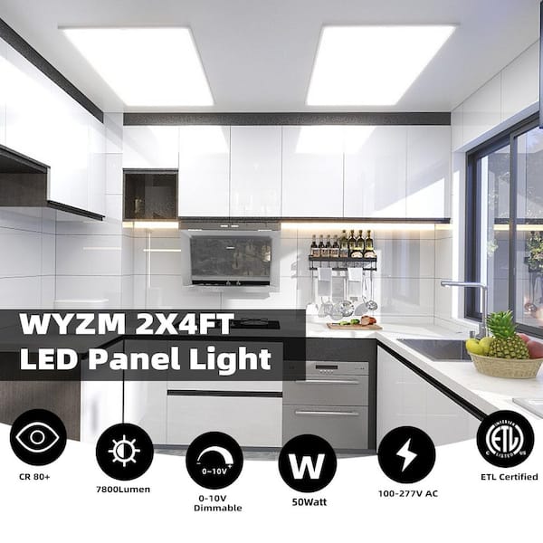 WYZM 2 ft. x 4 ft. 175-Watt Equivalent Integrated LED White