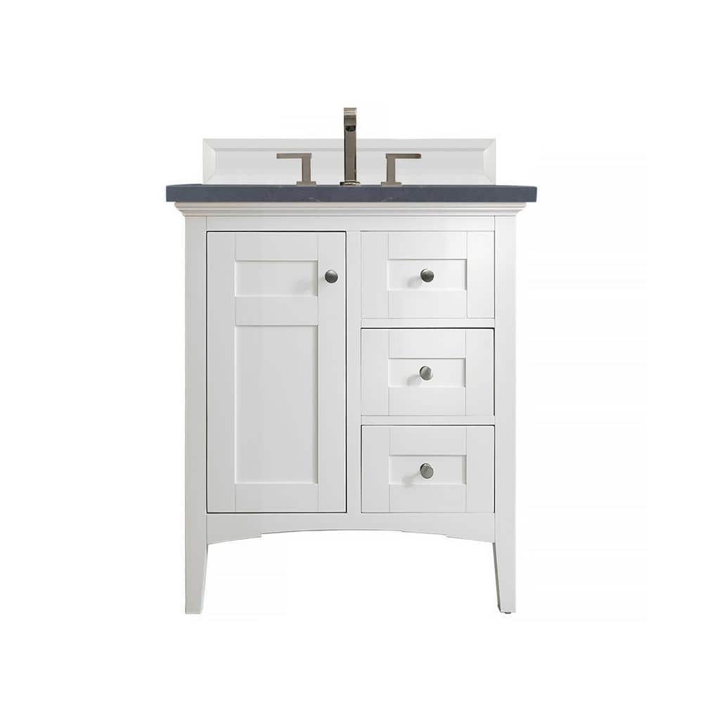 Palisades 30 in. W x 23.5 in.D x 35.3 in. H Single Vanity in Bright White w
