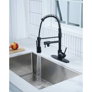 Double Handle Pull Down Sprayer Kitchen Faucet with Advanced Spray, Easy to Pull Out Spray Wand in Matte Black