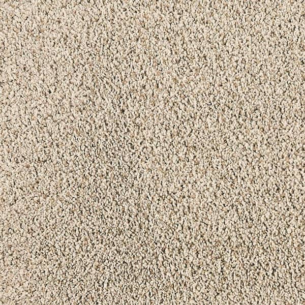 Whisk and Whimsy I-Stone Work-Gray 25 oz. Polyester Textured Installed Carpet