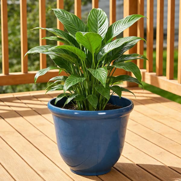 Felecia Large Blue Resin Round Planter Lightweight with Drainage Holes (15.4 in. L x 15.4 in. W x 12.8 in. H) (2-Pack)