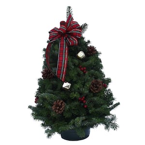 18 in. Balsam Highland Fresh Tabletop Tree Arrangement : Multiple Ship Weeks Available