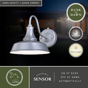 Dorado 1-Light Dusk to Dawn Satin Silver and White Farmhouse Barn Dome Outdoor Wall Lantern