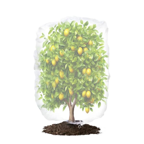Agfabric 120 in. H x 120 in. W Bird Netting Insect Barrier Garden Plant Cover in Shape Bag with Rope, White