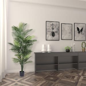 72 in. Artificial Robellini Palm Tree