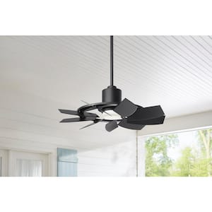 Stonemill 36 in. LED Outdoor Matte Black Ceiling Fan with Light