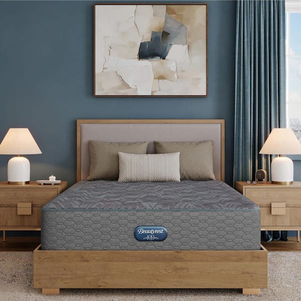 Opulent Rest Twin Plush 13.75 in. Mattress