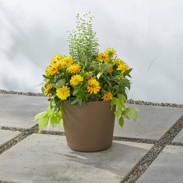 8 in. Kyra Small Chocolate Plastic Planter (8 in. D x 7.3 in. H) with Attached Saucer