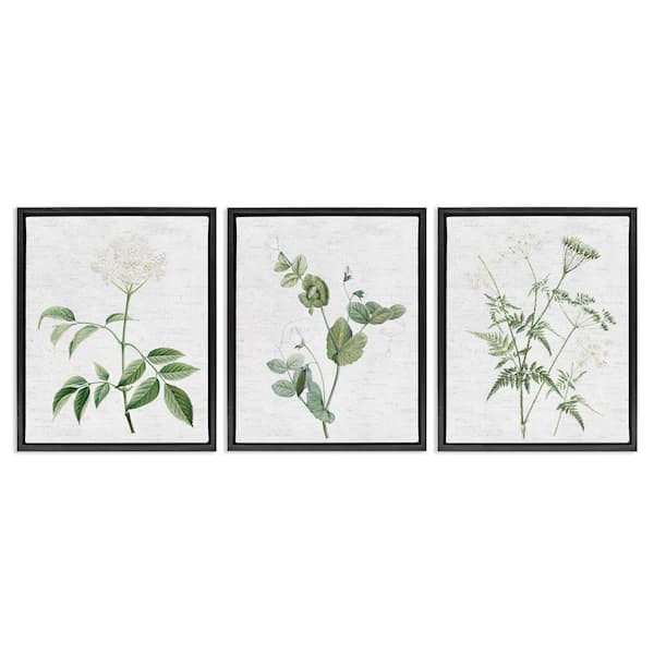 Soft White Botanicals by Lettered and Lined 3 Pieces Black Floater Frame Nature Graphic Art Print 21 in. x 17 in.