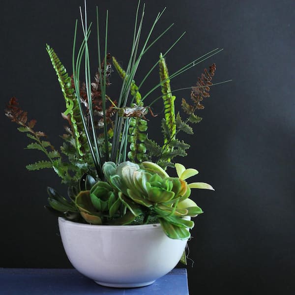 Northlight 11.5 in. Artificial Succulent and Fern Plants in Pot