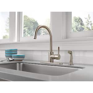 Apex Single-Handle Standard Kitchen Faucet with Side Sprayer in Stainless
