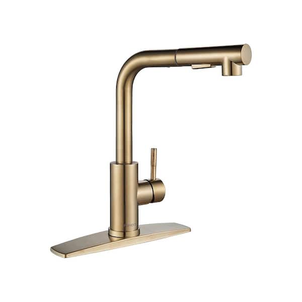 FORIOUS Single-Handle Kitchen Sink Faucet with Pull Down Sprayer ...