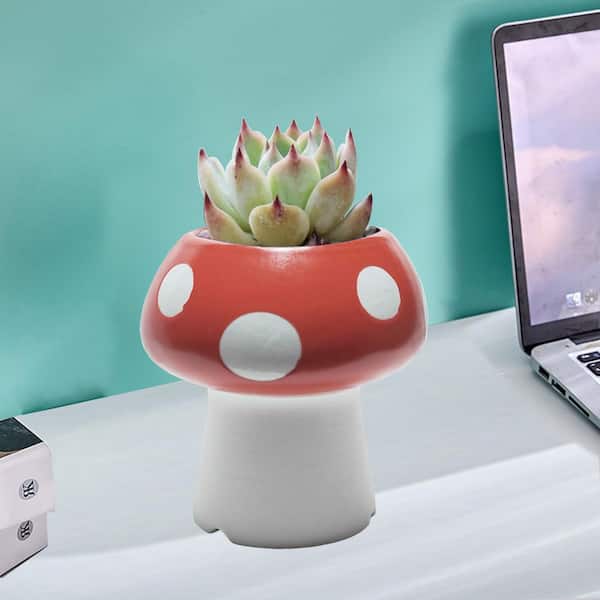 Aoibox Ceramic Mushroom Pencil Holder Red Pen Holder Succulent