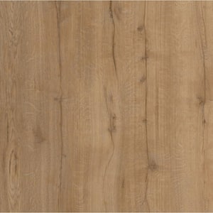 Take Home Sample-Mountain Magnolia 7 in. x 7 in. Glue down Vinyl Waterproof Luxury Plank flooring