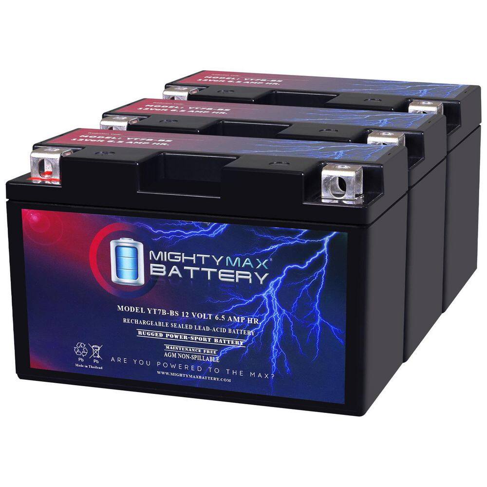 YT7B-BS -12-Volt 6.5 AH, 110 CCA, Rechargeable Maintenance Free SLA AGM Motorcycle Battery (3) price history on PriceWatchPro