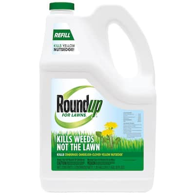 Roundup Roundup For Lawns 1 Ready-to-Use Wand 1.33 Gal (Northern) 438501005