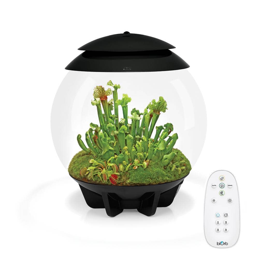 biOrb AIR 30L 水槽 Air 30 Terrarium for Vibrant Plant Life | biOrb US