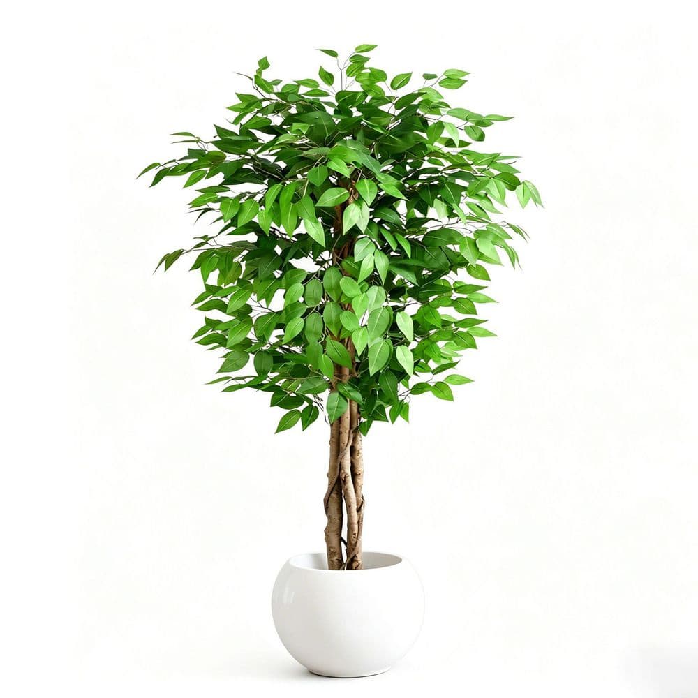 5 ft. Ficus Artificial Olive Tree in Pot LAN1Y102 - The Home Depot