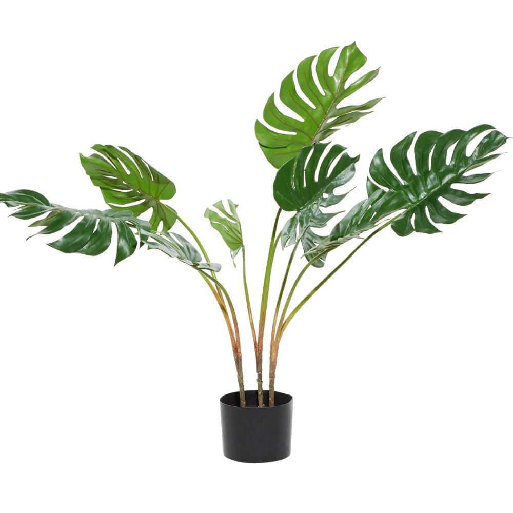 34" Green Plastic Potted Outdoor Monstera Plant