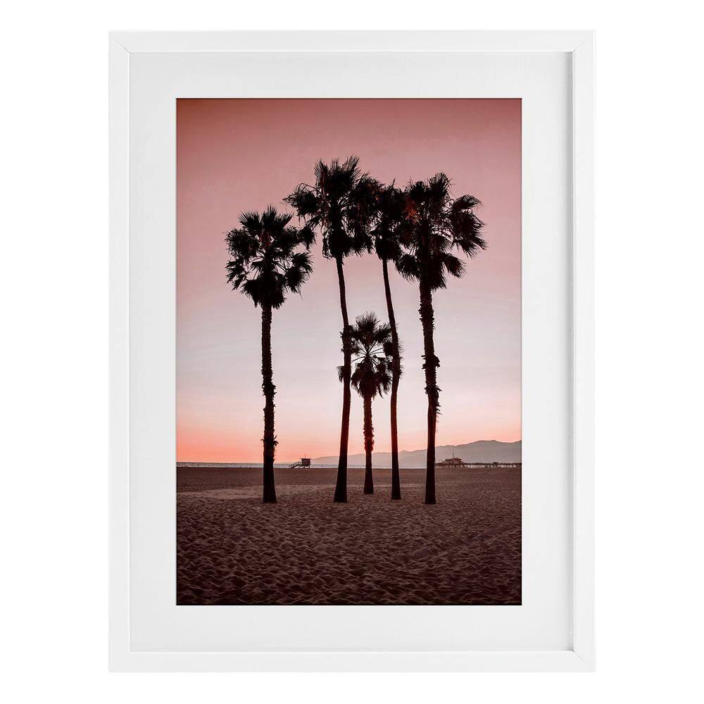 Stanta Monica Palms Pink by Natalie Carpentieri 1 Piece White Under Glass Framed Graphic Art Print 23 in. x 17 in. price history on PriceWatchPro