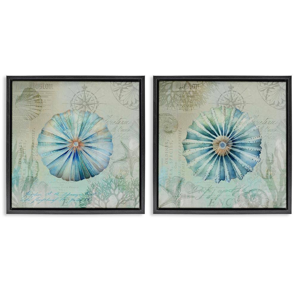 Vintage Blue Sea Urchins by Andrea Haase 2 Pieces Black Floater Frame Coastal Graphic Art Print 18 in. x 18 in. price history on PriceWatchPro