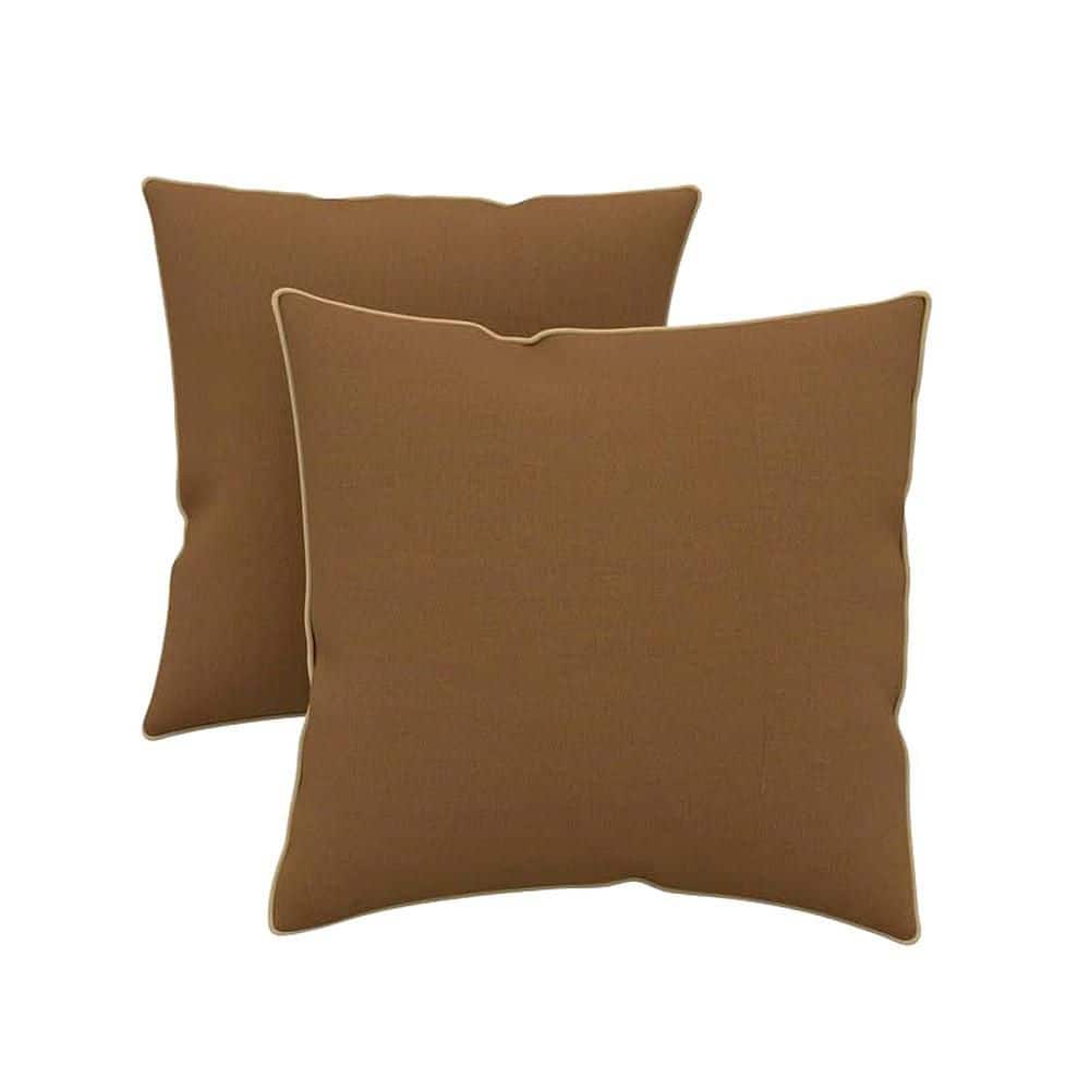 16x16 Sunbrella Spectrum Cilantro Outdoor Throw Pillow, (Set of 2) price history on PriceWatchPro