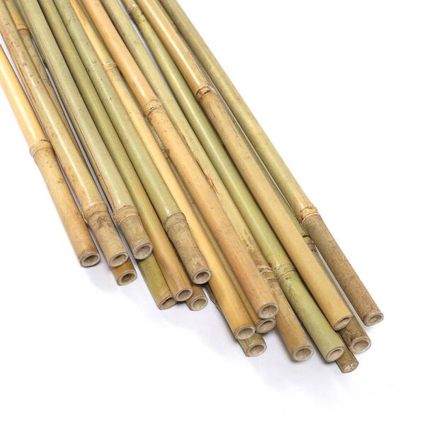 Natural Thick Bamboo Stakes 2.5 Feet Tall About Half Inch Diameter - Pack  of 8 (Natural Yellow)