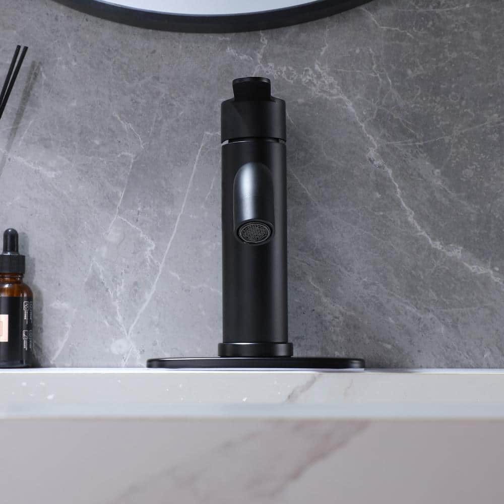 Matte Black Stainless Steel Single-Handle Bathroom Faucet