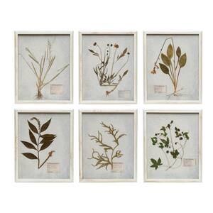 Creative Co-Op Set of 6 Wood Framed Glass Wall Decor with Dried Botanicals 20 in. x 16 in.