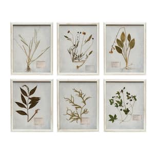 Set of 6 Wood Framed Glass Wall Decor with Dried Botanicals 20 in. x 16 in.