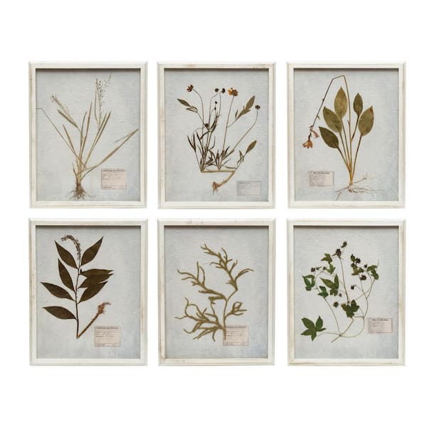 Storied Home Set of 6 Wood Framed Glass Wall Decor with Dried Botanicals 20 in. x 16 in.