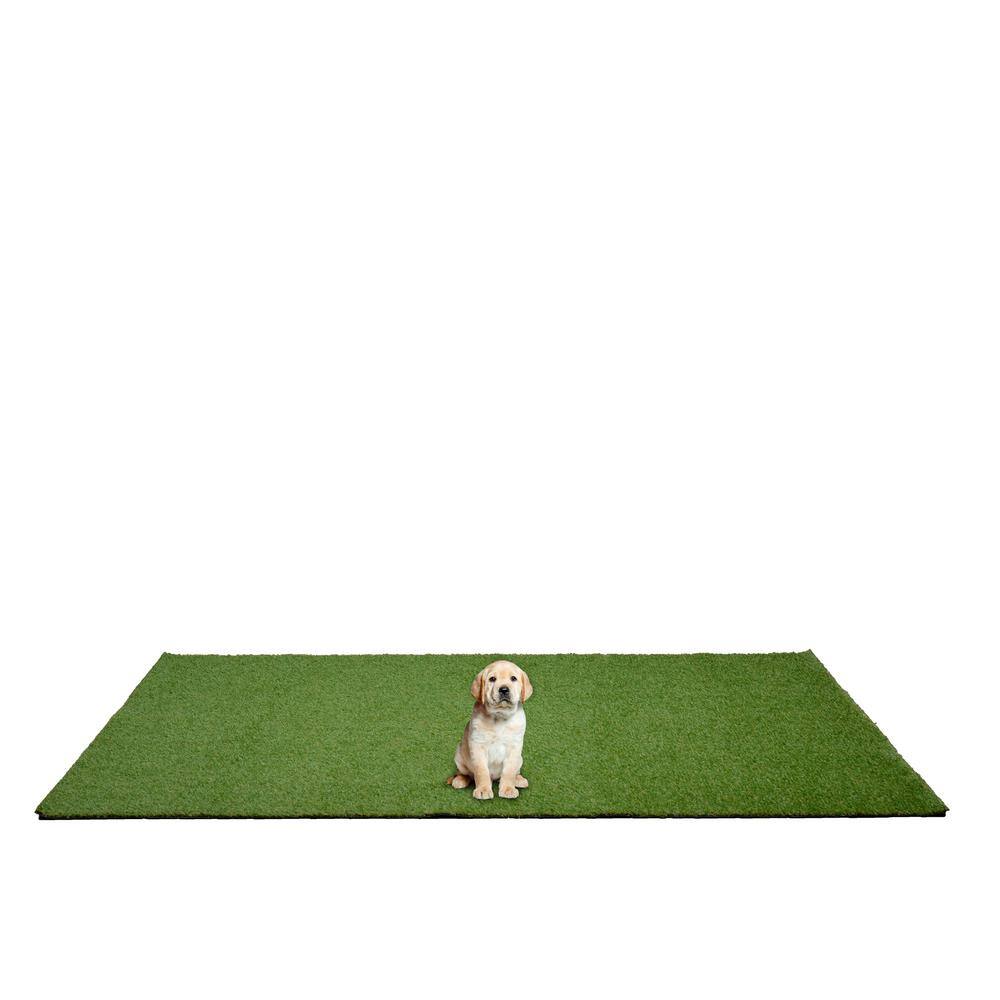 Green Artificial Grass Indoor/Outdoor Pet Training Area Rug