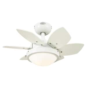 Quince LED 24 in. LED White Ceiling Fan with Light Fixture