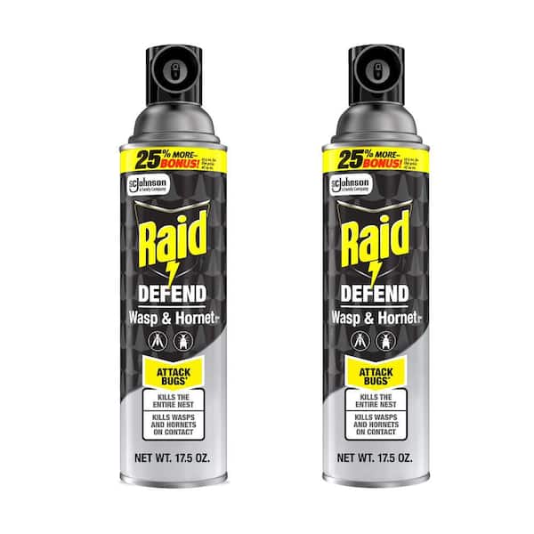 17.5 oz. Wasp and Hornet Killer, Outdoor Flying Insect Killer Spray (2-Pack)