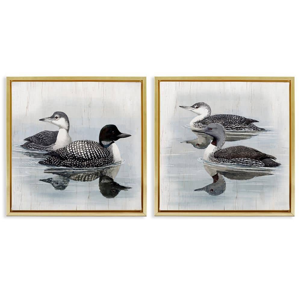 Four Loons in Lake by Susan Jill 2-Pieces Gold Floater Frame Animal Graphic Art Print 18 in. x 18 in. price history on PriceWatchPro